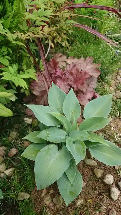 寿量山 速成寺の庭園