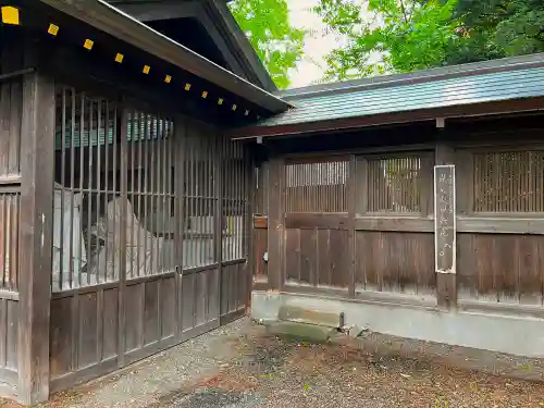 琴似神社(北海道)