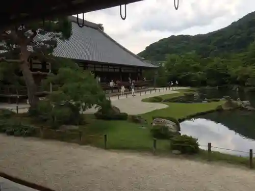 天龍寺の庭園