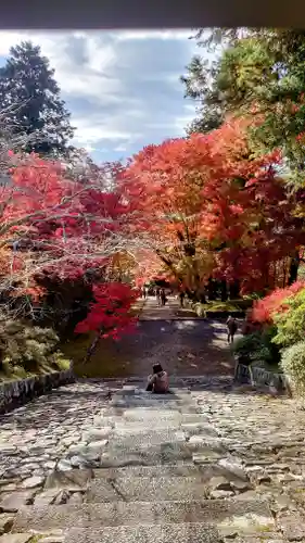 毘沙門堂門跡(京都府)
