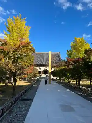  智積院(京都府)