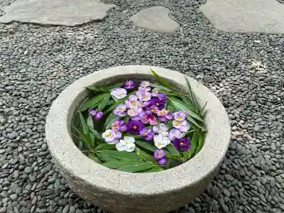 菅生神社(愛知県)