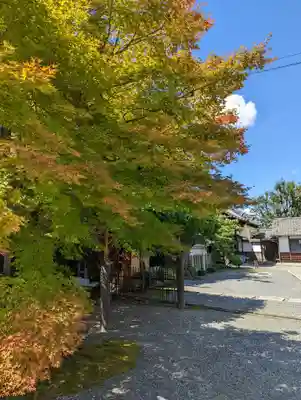 即成院(京都府)