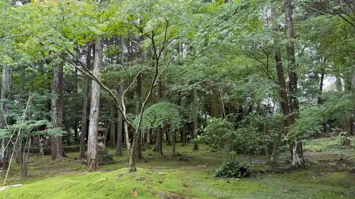 竹林寺(高知県)