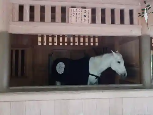 伊勢神宮外宮（豊受大神宮）(三重県)
