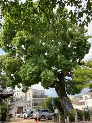 丹生神社の自然