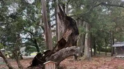 池姫神社(京都府)