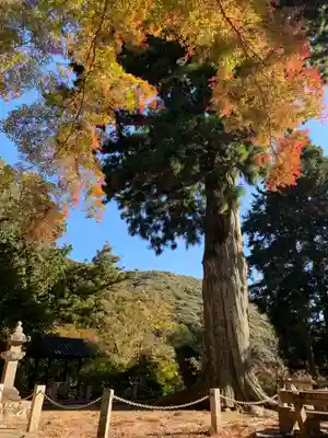 普門寺(切り絵御朱印発祥の寺)(愛知県)