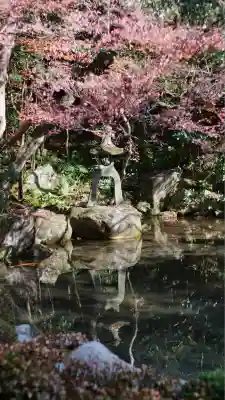 蓮華寺（洛北蓮華寺）(京都府)