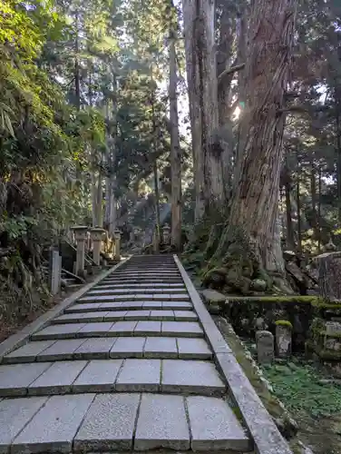 高野山金剛峯寺(和歌山県)