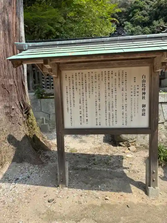 白山比咩神社(山口県)