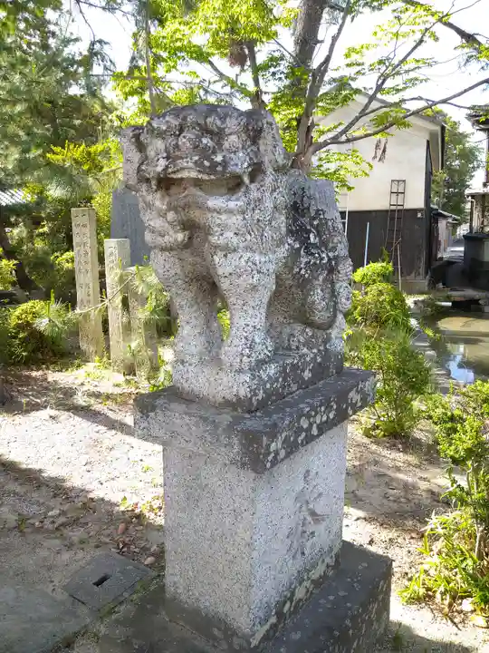 備中国總社の狛犬