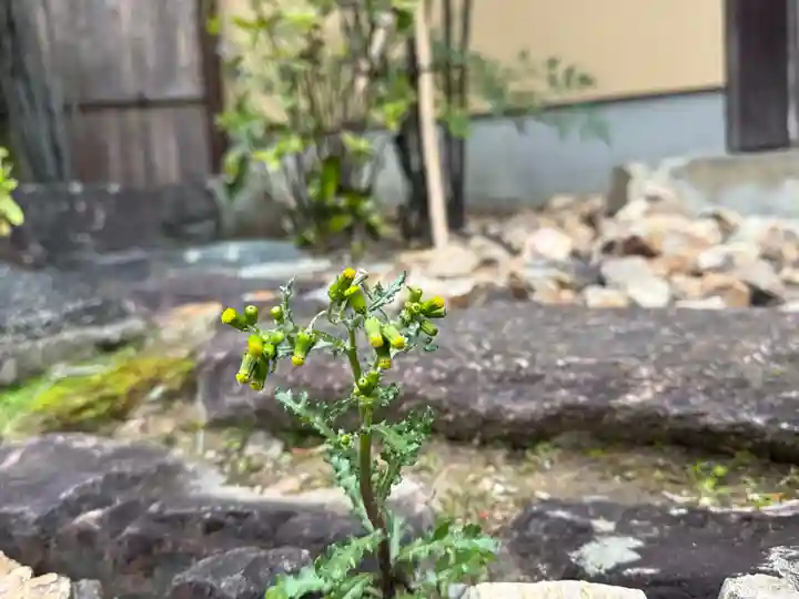 西方山極楽寺(岐阜県)