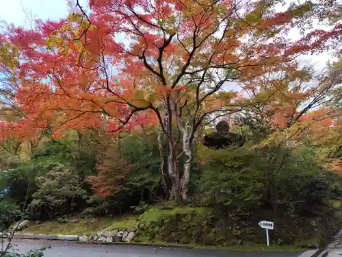 赤山禅院(京都府)