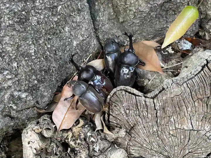 上宮天満宮(大阪府)