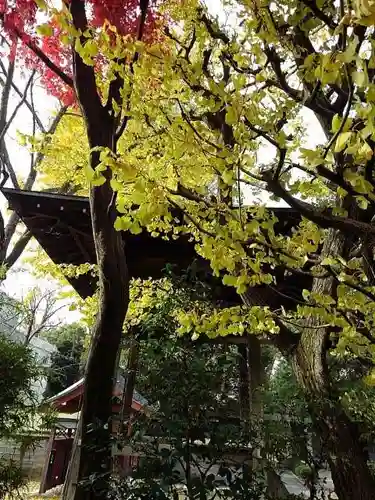 安養寺のその他建物