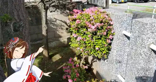 牛頭天王社のその他建物