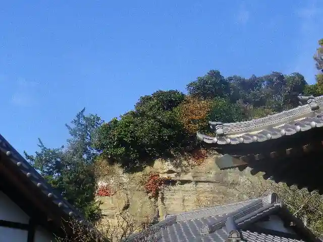 浄光明寺の自然