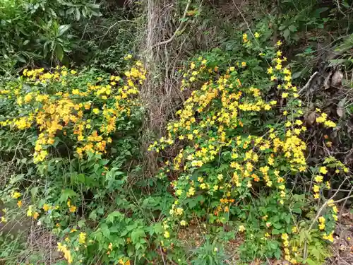 加波山三枝祇神社親宮拝殿(茨城県)