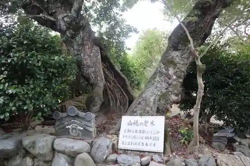 勧修寺(京都府)