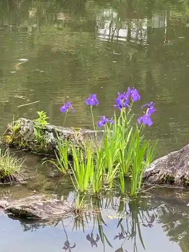 円成寺(奈良県)