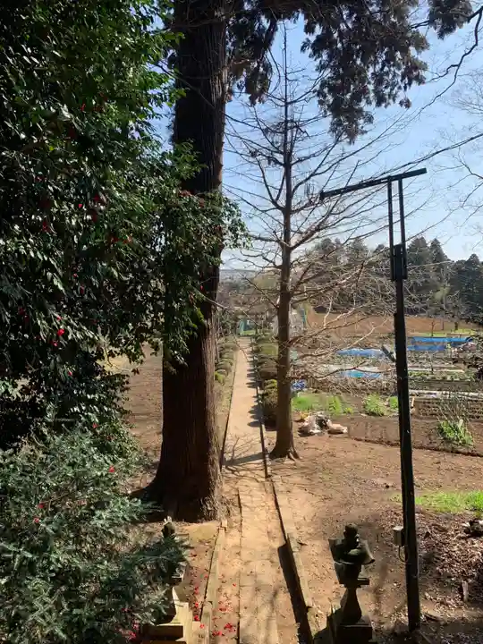 大木戸八幡神社(千葉県)