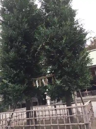 菅谷神社のその他建物