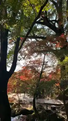 宝満宮竈門神社(福岡県)