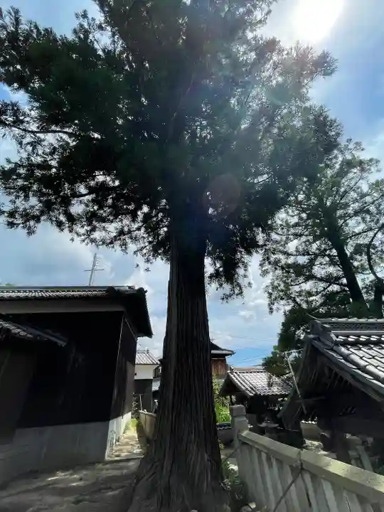御坂神社(兵庫県)