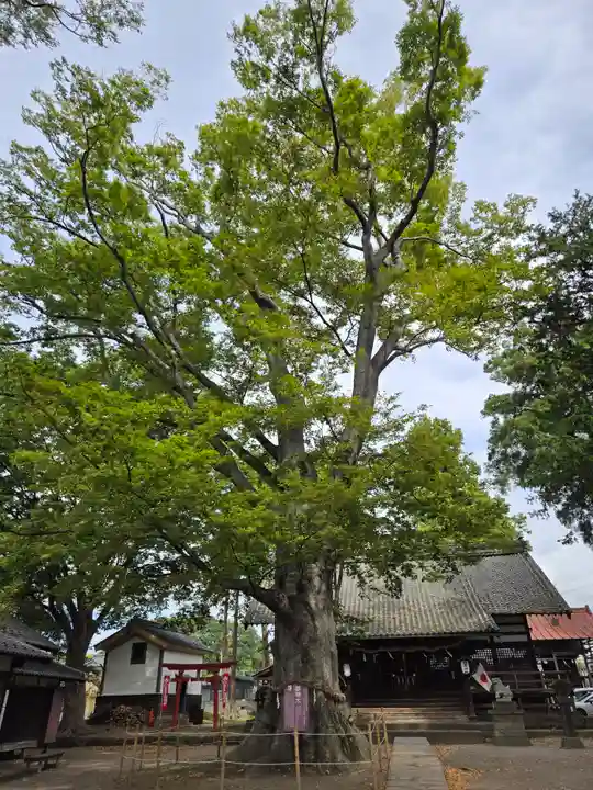 白鳥神社(長野県)