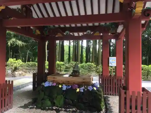 霧島神宮の手水舎