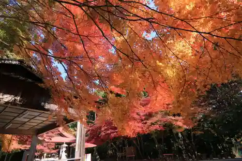 霊山神社の庭園