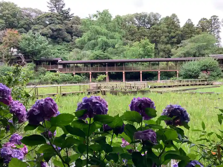 本土寺(千葉県)