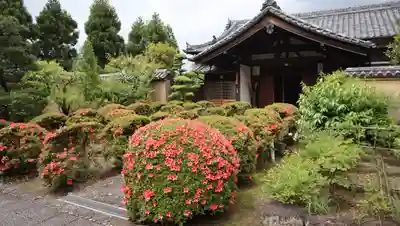 東大寺真言院(奈良県)