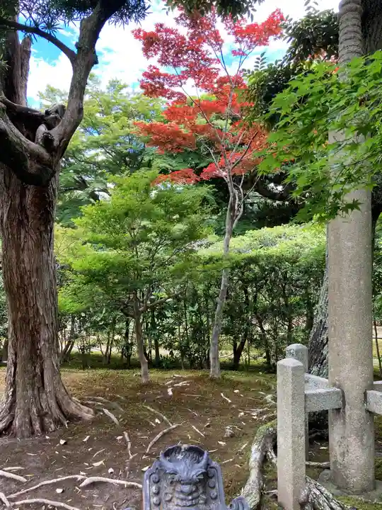 長壽寺(長寿寺)の自然