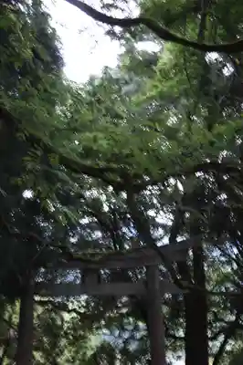 阿上三所神社(京都府)