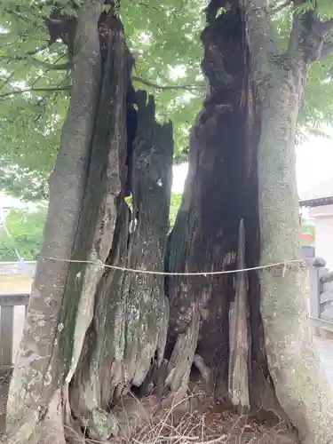 真田神社(神奈川県)