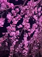 水無瀬神宮(大阪府)