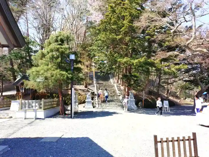 千歳神社の{uncategorized: "未分類", other: "その他", undefined: "問題あり", building: "その他建物", grave: "お墓", sacred_gate: "鳥居", guardian: "狛犬", statue: "像", buddha: "仏像", history: "歴史", nature: "自然", garden: "庭園", animal: "動物", pagoda: "塔", temizu: "手水舎", mountain_gate: "山門・神門", sanctuary: "本殿・本堂", subordinate: "末社・摂社", art: "芸術", scenery: "景色", jizo: "地蔵", ema: "絵馬", goshuin: "御朱印", omikuji: "おみくじ", items: "授与品その他", amulet: "お守り", goshuincho: "御朱印帳", eats: "食事", festival: "お祭り", votive_dance: "神楽", shichigosan: "七五三参", wedding: "結婚式", experience: "体験その他", initially: "初詣", around: "周辺", anti_infection: "感染症対策"}