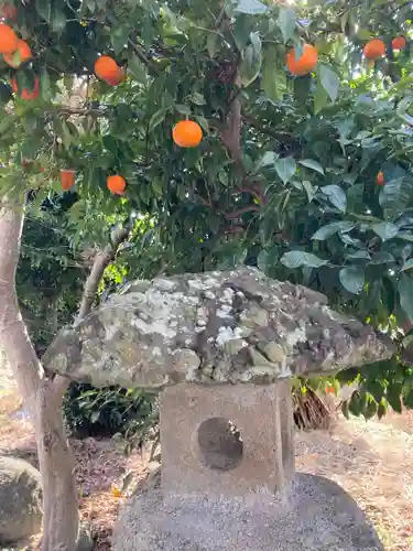 田倉熊野神社の自然