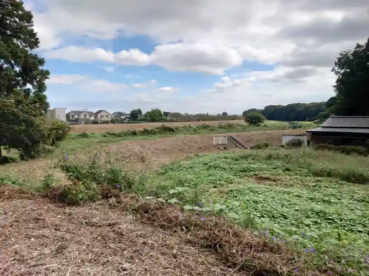 下新河岸日枝神社(埼玉県)