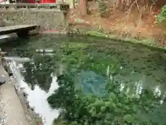 白川吉見神社(熊本県)