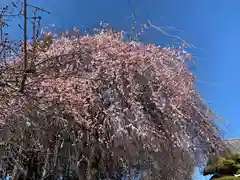 百品神社(群馬県)