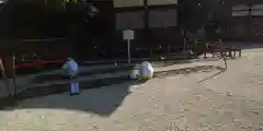 賀茂御祖神社（下鴨神社）(京都府)