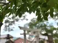 白鳥神社(長野県)