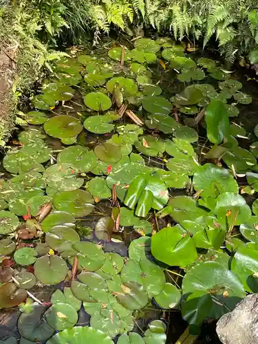 横浜御嶽神社の庭園