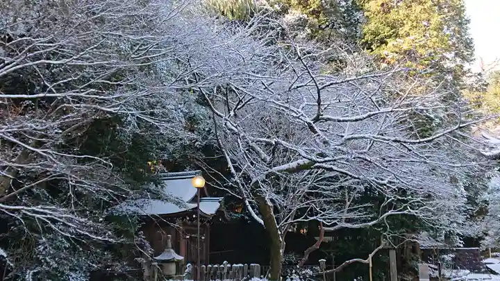 御寺 泉涌寺(京都府)