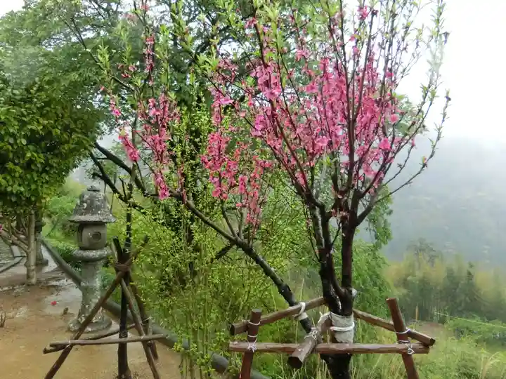 青岸渡寺(和歌山県)