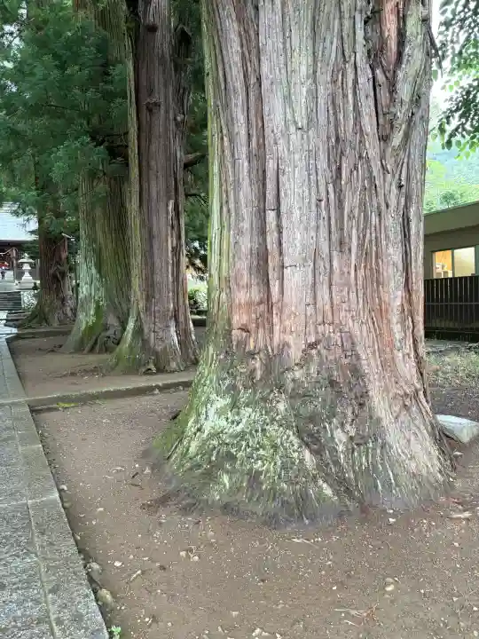 河口浅間神社(山梨県)
