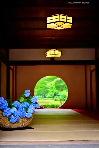 明月院(神奈川県)